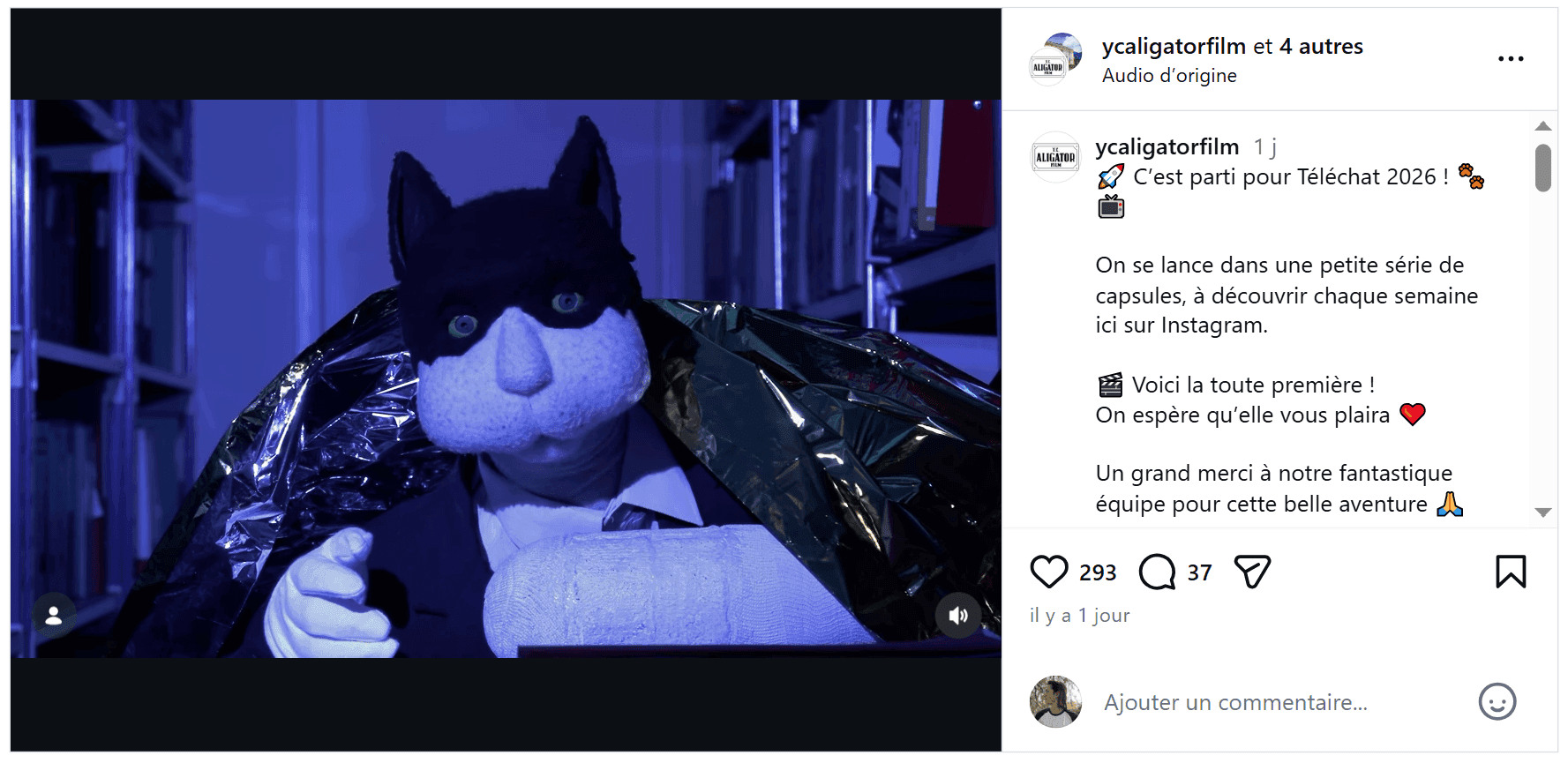 Sur Youtube, la mythique série "Téléchat" a désormais sa chaîne officielle