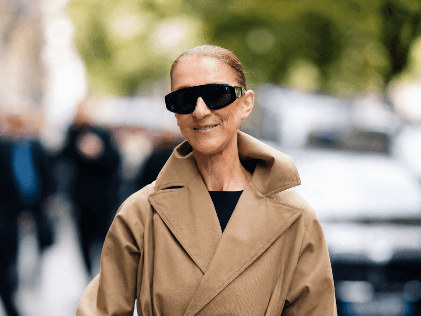 Céline Dion ne sera pas marraine de la "Star Academy"